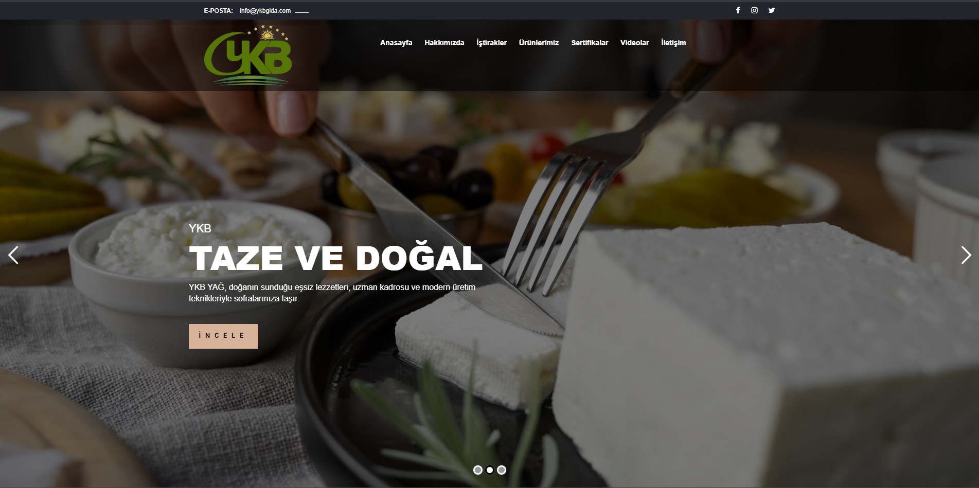 Defne Agency Web Design